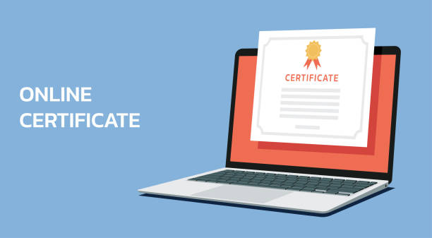 Our Training Solutions